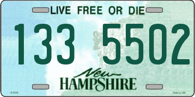 NH license plate 1335502