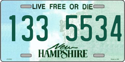 NH license plate 1335534