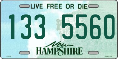 NH license plate 1335560