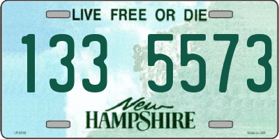 NH license plate 1335573