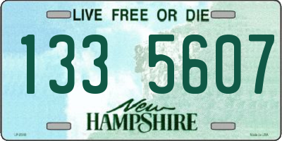 NH license plate 1335607