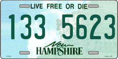 NH license plate 1335623