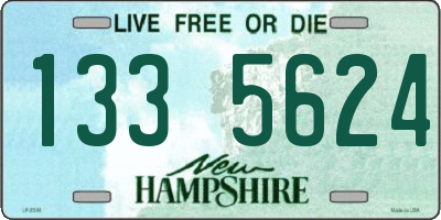 NH license plate 1335624