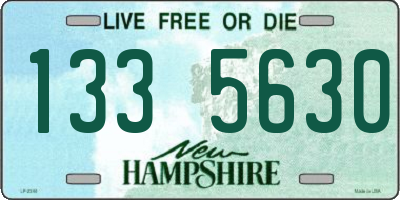 NH license plate 1335630