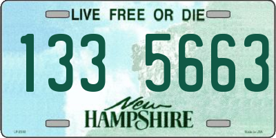 NH license plate 1335663