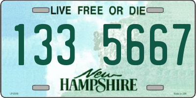 NH license plate 1335667