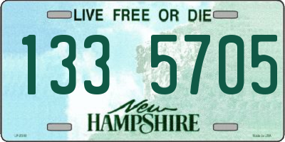 NH license plate 1335705