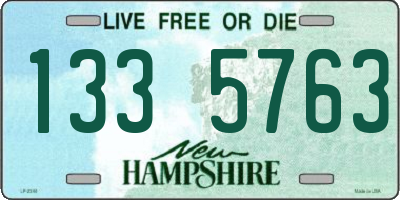 NH license plate 1335763