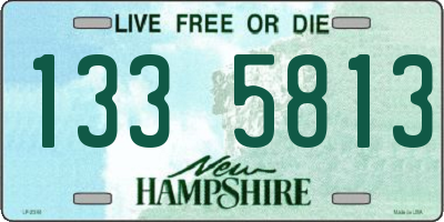 NH license plate 1335813