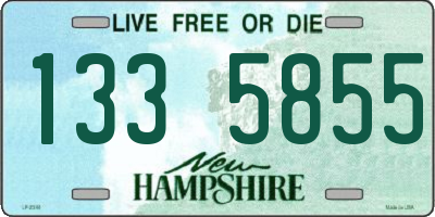 NH license plate 1335855