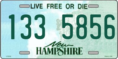 NH license plate 1335856