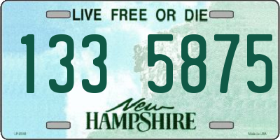 NH license plate 1335875