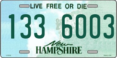 NH license plate 1336003