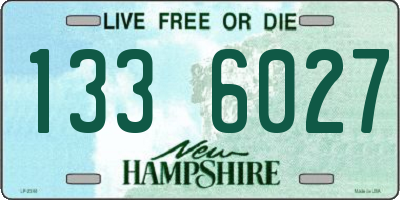 NH license plate 1336027