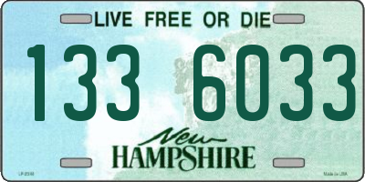 NH license plate 1336033