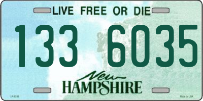 NH license plate 1336035