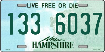 NH license plate 1336037