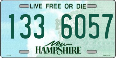 NH license plate 1336057