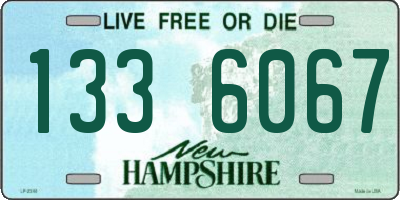 NH license plate 1336067