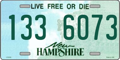 NH license plate 1336073