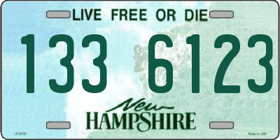 NH license plate 1336123