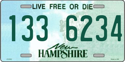 NH license plate 1336234