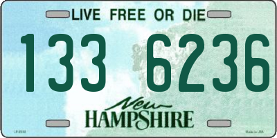 NH license plate 1336236