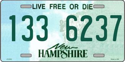 NH license plate 1336237