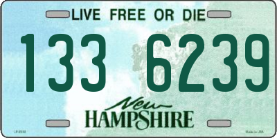 NH license plate 1336239