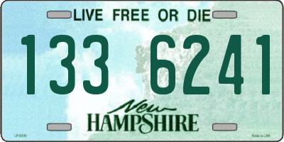 NH license plate 1336241