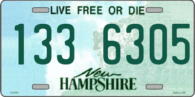 NH license plate 1336305