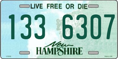 NH license plate 1336307