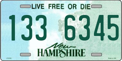 NH license plate 1336345