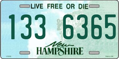 NH license plate 1336365
