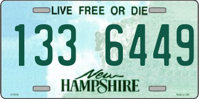 NH license plate 1336449