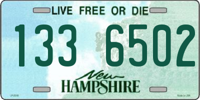NH license plate 1336502