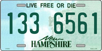 NH license plate 1336561