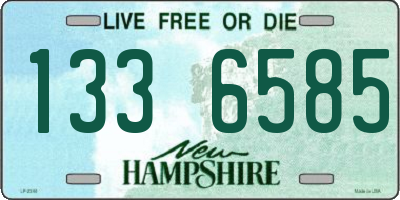 NH license plate 1336585