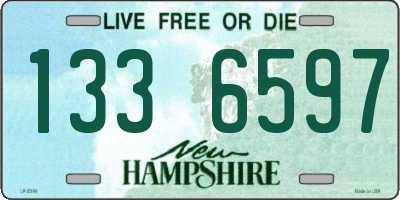 NH license plate 1336597