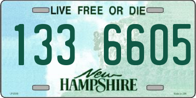 NH license plate 1336605