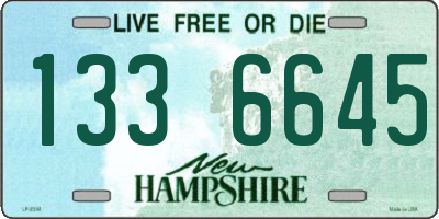 NH license plate 1336645