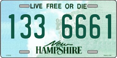 NH license plate 1336661