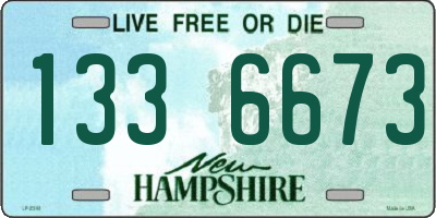 NH license plate 1336673