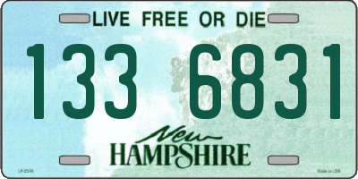 NH license plate 1336831