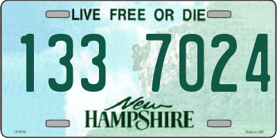 NH license plate 1337024