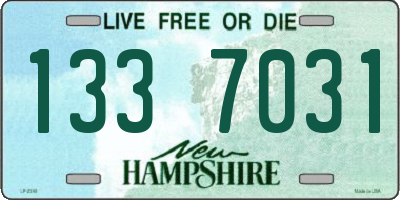 NH license plate 1337031
