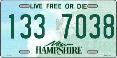 NH license plate 1337038