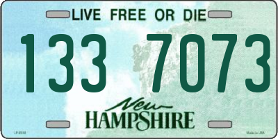 NH license plate 1337073