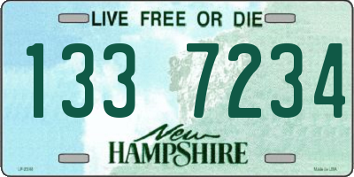 NH license plate 1337234
