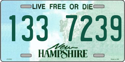 NH license plate 1337239